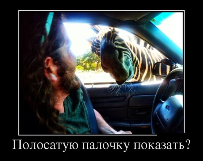 Полосатую палочку показать? 