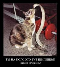      !?   ! 
