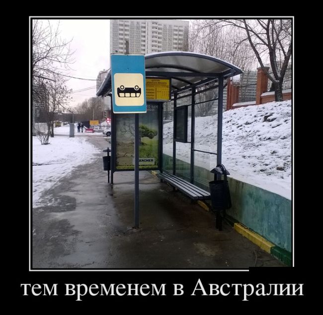Тем временем в Австралии 
