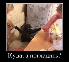 ,  ? 