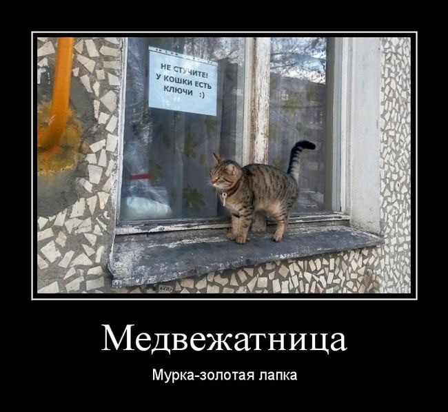 . - 