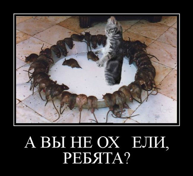     , ? 