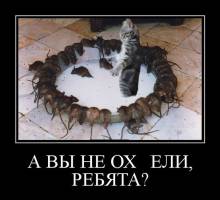     , ? 