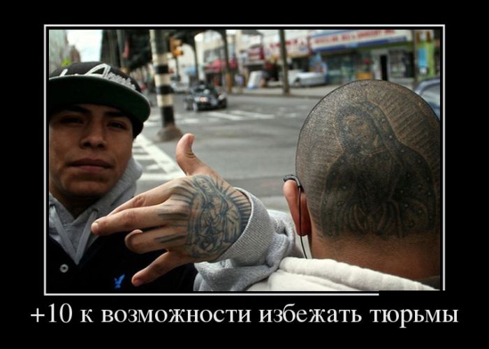 +10 к возможности избежать тюрьмы 