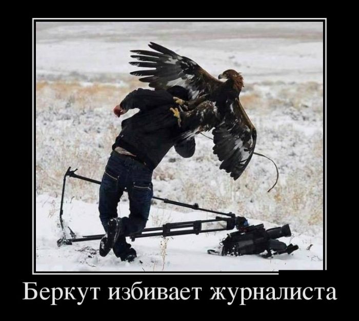 Беркут избивает журналиста 