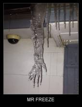 Mr freeze 