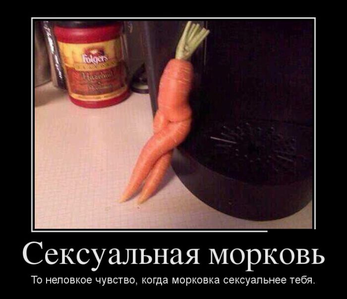  .   ,    