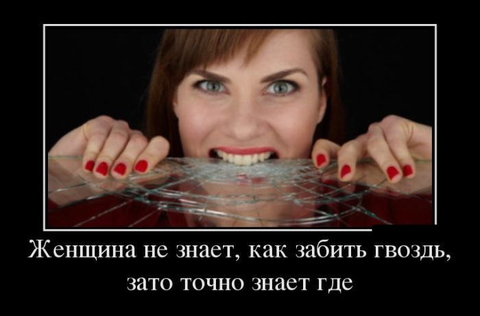   ,   ,     