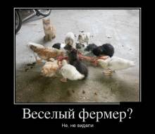  ? ,   