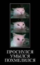 , ,  