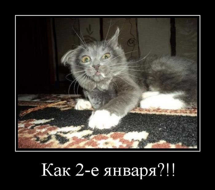  2- ?!! 