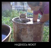 Надеюсь моют 