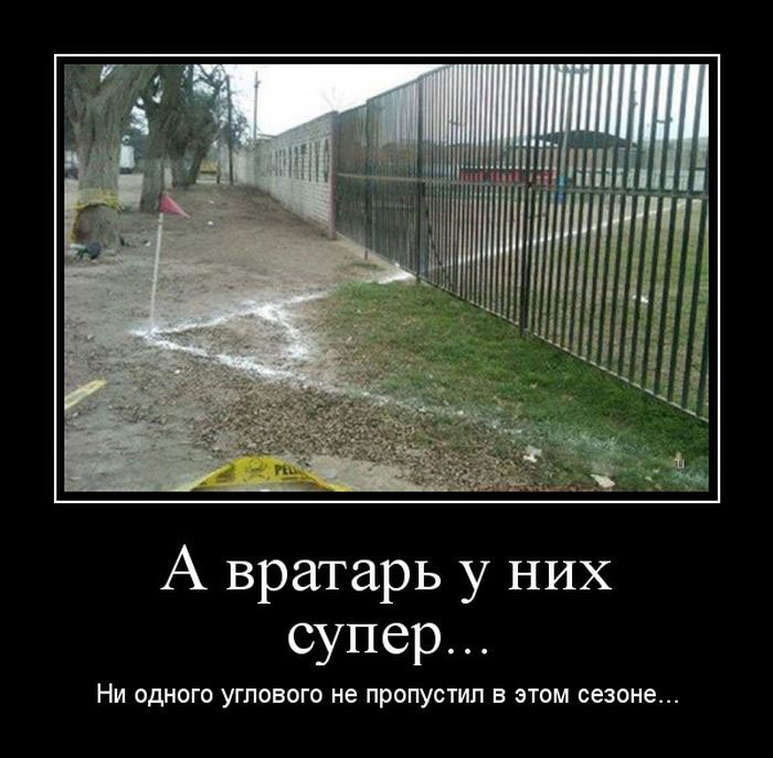     ...        ... 