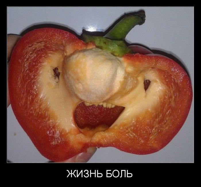 Жизнь боль