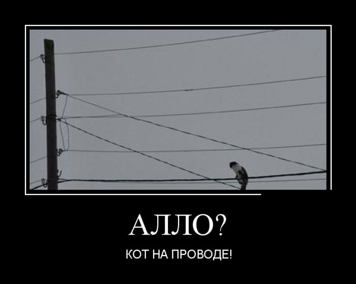 ?   ! 