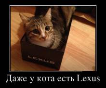    Lexus 