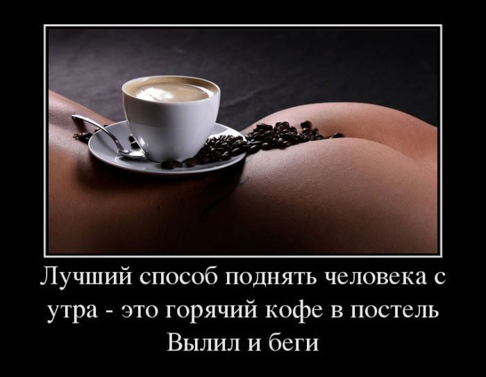       -     .    