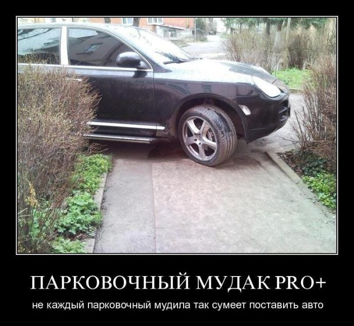   PRO+.         