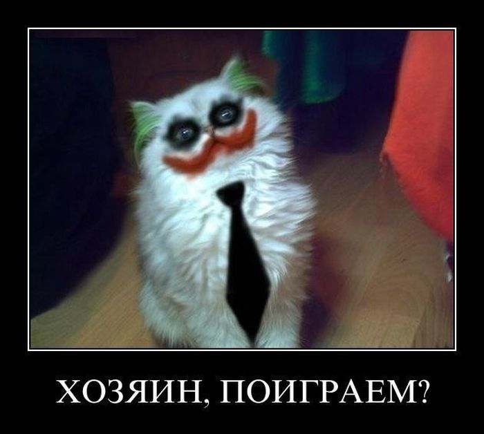, ? 