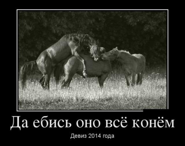  ..   .  2014  