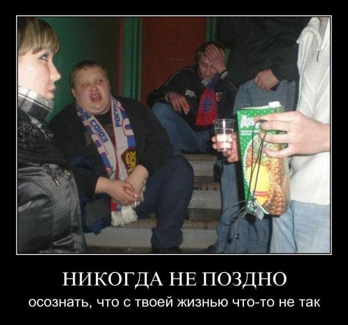    ,     -   