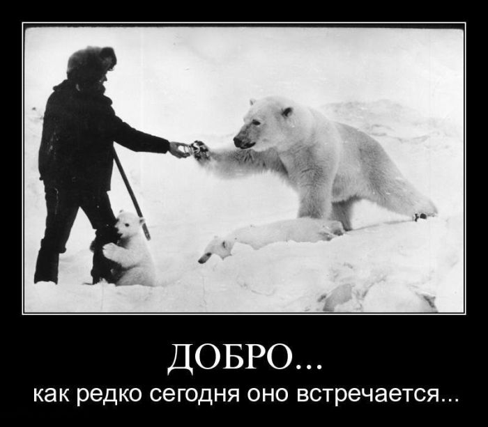 ...     ... 
