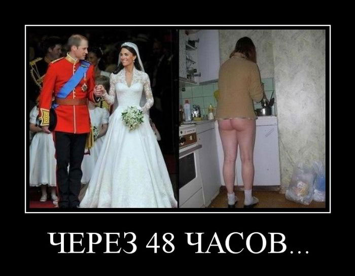  48 ... 