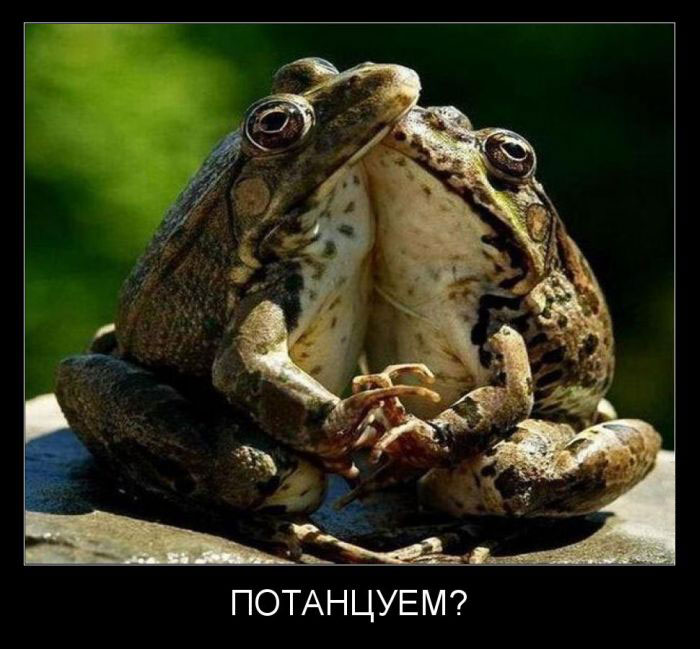 ?